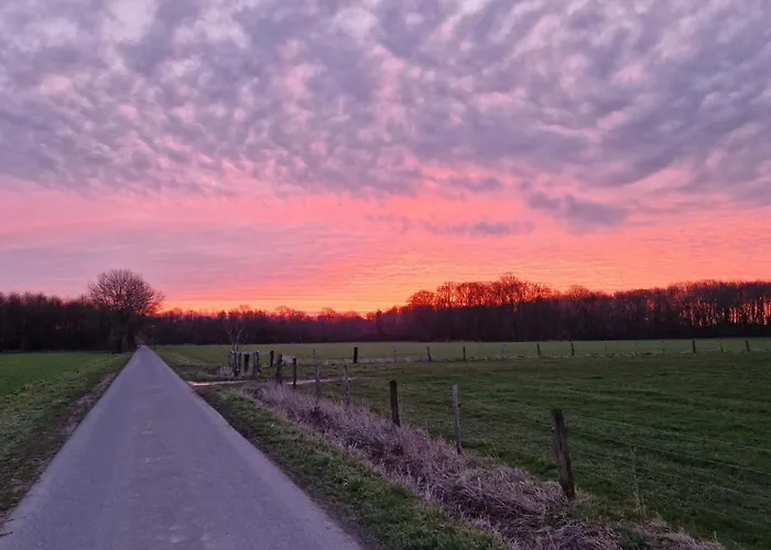 Geilert Apartment Leisnig